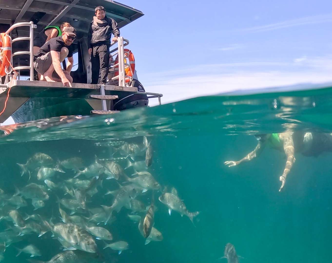 A perfect swimming opportunity